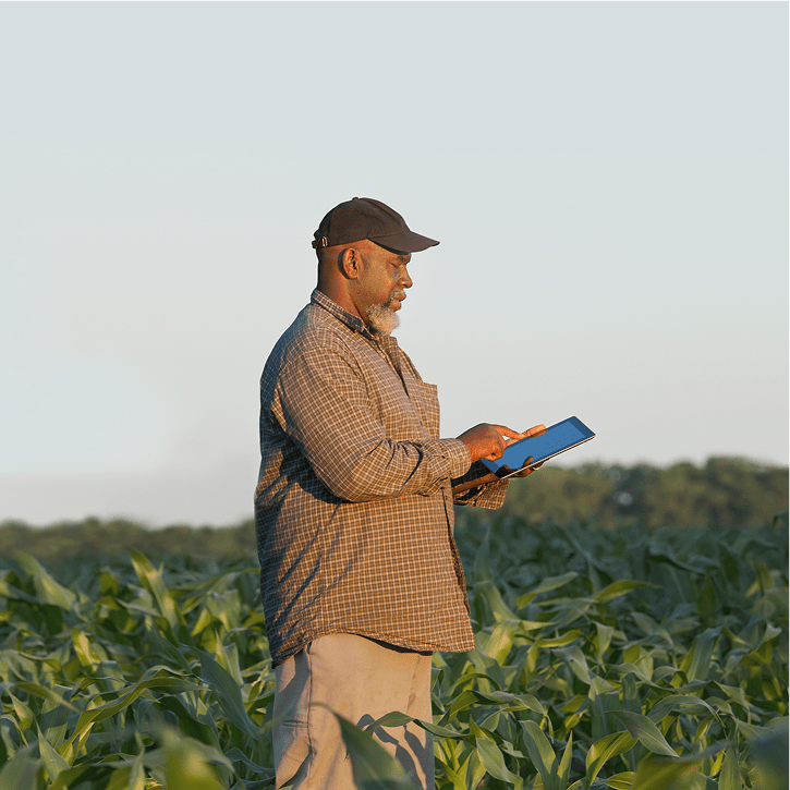 Multi-site connectivity