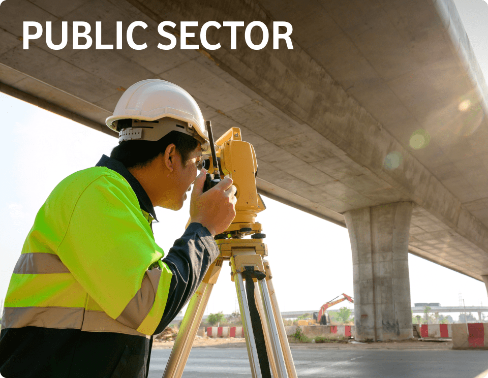 Public Sector